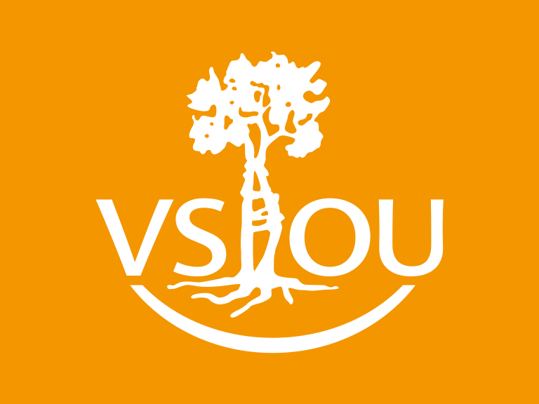 vsou logo primary